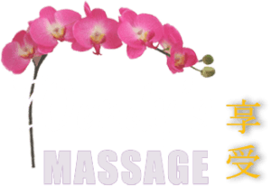 Wendys Massage Logo